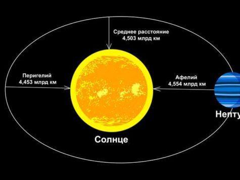 Нептун, планета, Солнце, звезда, расстояние, орбита, Перигелий, Афелий, схема, иллюстрация, рисунок