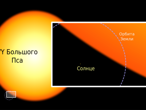 VY Большого Пса, большая звезда, гигант, Солнце, орбита Земли, сравнение размеров, иллюстрация