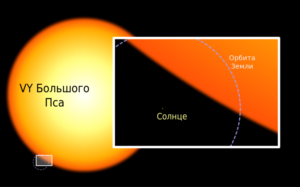 VY Большого Пса, большая звезда, гигант, Солнце, орбита Земли, сравнение размеров, иллюстрация